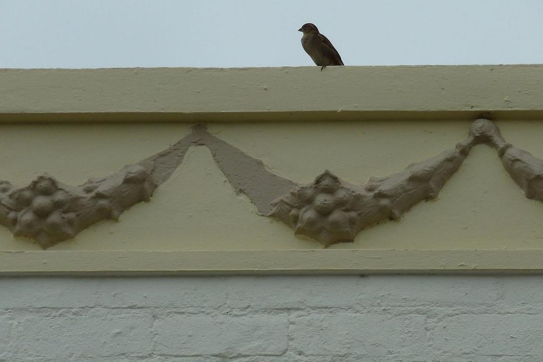 Grey Lynn Library, Auckland - image 4